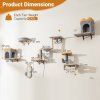 wall mounted cat tower set with 2 tier platform and 2 comfy cat condos size 5