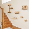 6 Pieces Cat Wall Fu 1768455648116438 165547