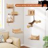 6 Pieces Cat Wall Fu 1768455651273945 775051