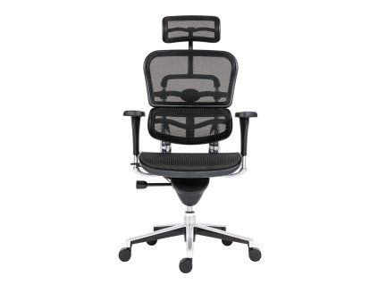 stolička Ergohuman ALL mesh 001