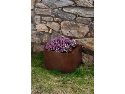 54 3 web sm u dsc01880 kopie