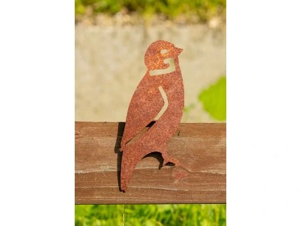 150 web c u dsc04421 edit kopie 2