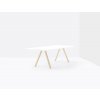 ARKI TABLE ARKW300X100