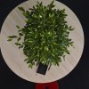 On Point High Tables O2asis Mattias Stenberg offecct 612023 16 13010 87SWLN2