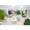 alberi arrangement 1