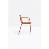 Nolita 3655 TE4 low