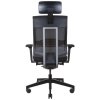 Ergonomická kancelárska stolička otočná XENON NET 111, Profim, zozadu