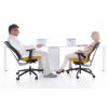 Ergonomická kancelárska stolička XENON NET 100, Profim, otočná, kancelárske kreslo so sieťovým operadlom, ergonomická stolička k písaciemu stolu