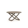 Trip coffee table D48 45 bronze