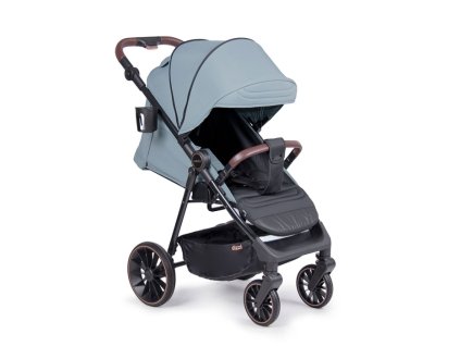 sportovni detsky kocarek coletto dizzi 2025 mint