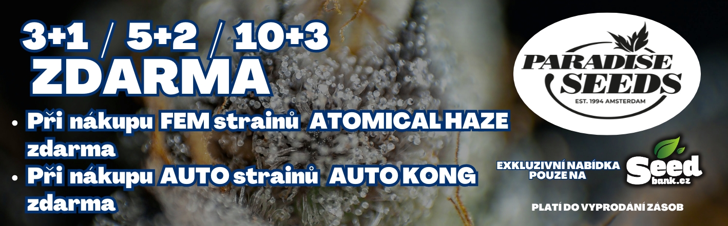 3+1,5+2,10+3 autokong + atomical haze