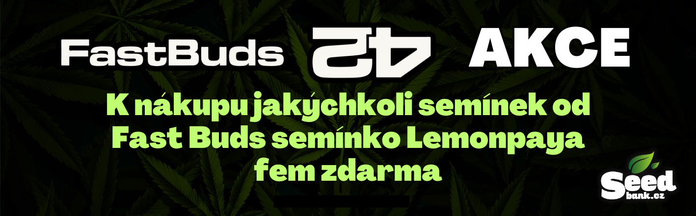Fast Buds+ Lemon papya zdarma