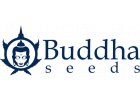 Buddha Seeds