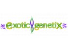 Exotic Genetix