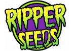 Ripper Seeds