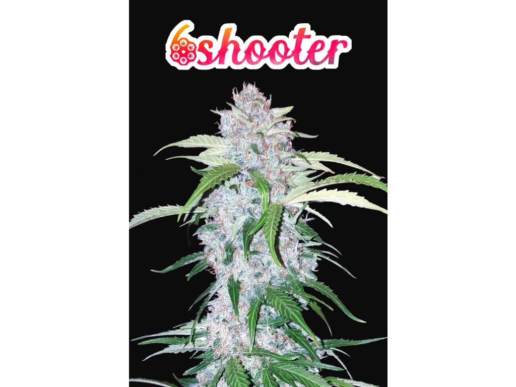 Six Shooter Auto » Fast Buds, Fast Buds - Autoflowering, Seeds