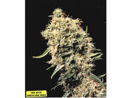 Mr. Nice Seeds Medicine Man, regular, 18ks