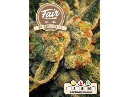 Fair Seeds Bubble Gum, feminized, 10ks