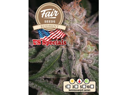 Fair Seeds Budmint, feminized, 1ks