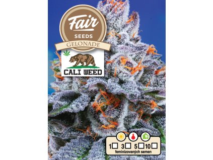 Fair Seeds Gelonade feminized, 5ks