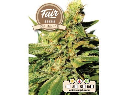 Fair Seeds Darkstar, feminized, 1ks