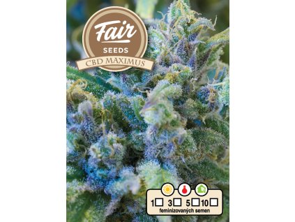 Fair Seeds CBD Maximus, feminized, 10ks