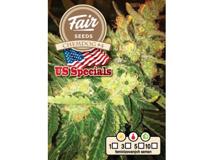 Fair Seeds Chemdog 4, feminized, 3ks