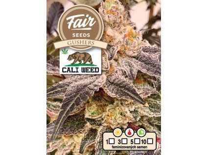 Fair Seeds CALI WEED Gushers, feminized, 5ks