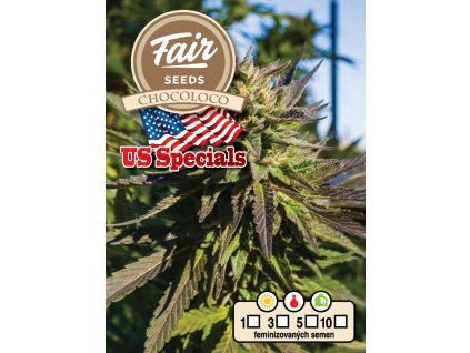 Fair Seeds Chocoloco, feminized, 5ks