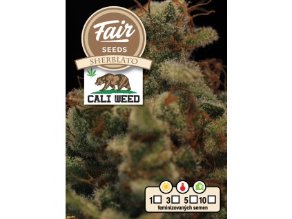Fair Seeds CALI WEED Sherblato, feminized, 5ks