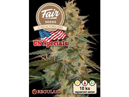 Fair Seeds Chocokush, regular, 10ks