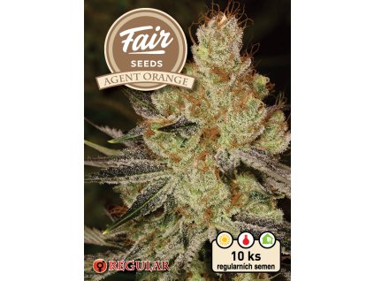 Fair Seeds Agent Orange, regular, 10ks