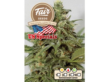 Fair Seeds Original Lemon Pie, feminized, 5ks