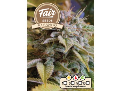 Fair Seeds Somango, feminized, 5ks