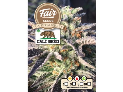 Fair Seeds CALI WEED Sunset Sherbet, feminized, 10ks