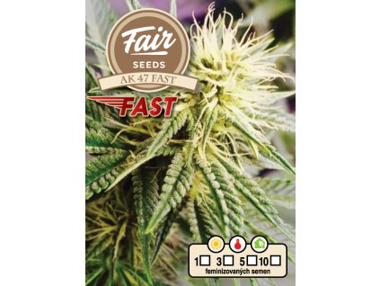 fair seeds AK 47 FAST 2024