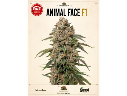animal face bud