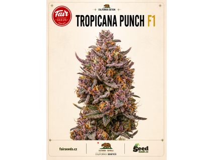 tp bud