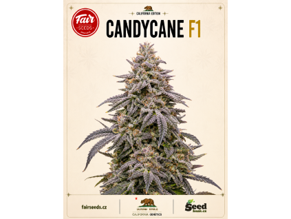 candycane bud