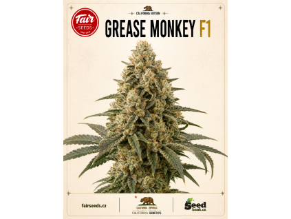 Grease Monkey F1 bud