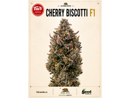 cherry biscottii f1 bud