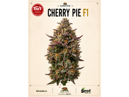Cherry Pie F1 bud