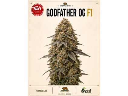 Godfather OG F1 bud
