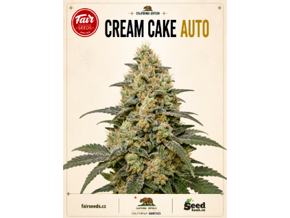 Cream Cake Auto bud