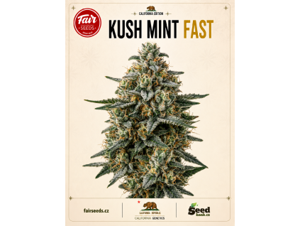 kush mint fast bud