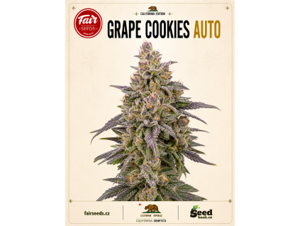 Grape Cookies auto bud