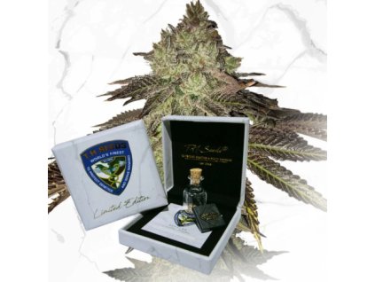 th seeds limited regular edition gelato 33 x birthday cake