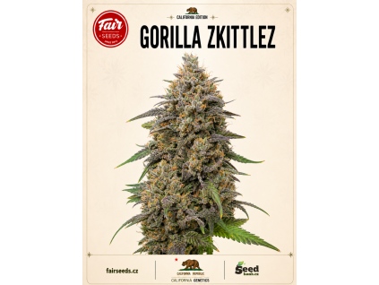 gorilla zkittlez bud