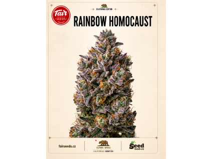 rainbow homo bud