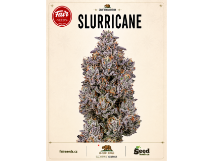 Slurricane bud
